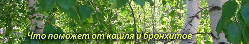 Какие травы помогают от кашля и бронхита